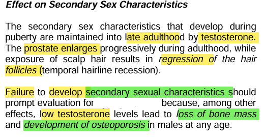 <p><strong><u>Testosterone: Secondary Sex Characteristics</u></strong></p>
