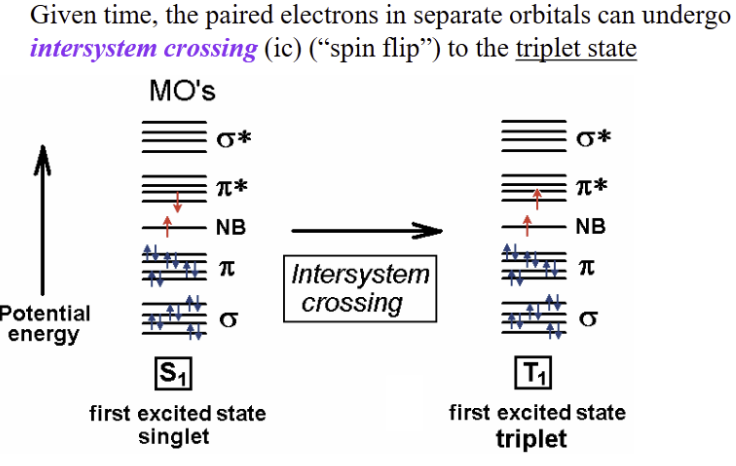 <p><span style="background-color: transparent;">involves a change in the spin multiplicity</span></p>
