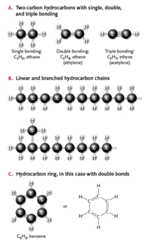 <p>two or more carbon atoms arranged in a linear unbranched chain, a linear branched chain, or a structure with one or more rings. Single and double bonds are found in linear and ring hydrocarbons; triple bonds only in two-carbon hydrocarbon</p>