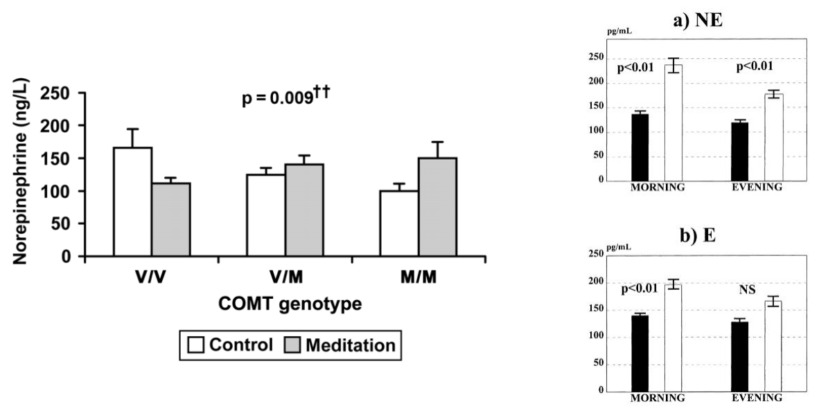 <ul><li><p><strong>Meditation </strong>is associated with lower NA + ADR (depends on style, genetics) → more parasympathetic activation</p></li></ul><div data-type="horizontalRule"><hr></div><ul><li><p>note: it is not just 1 system being on; there is both to various degrees → so one is more dominant</p></li><li><p>noradrenaline + adrenaline levels lower in those that meditate and also low in those that meditate regularly</p></li><li><p>note crude proxy → looking at diff substance in diff compartment + drawing inferences about what could be going on in brain</p></li></ul><p></p>