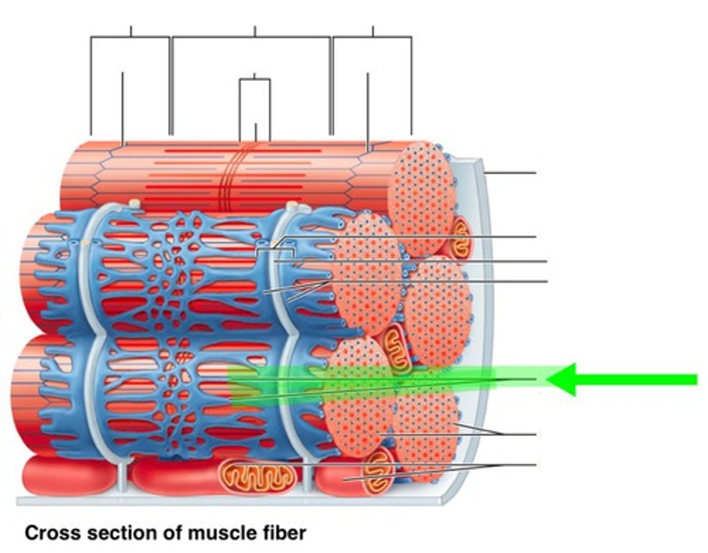 <p>type of structure?</p>