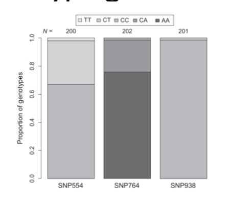 <p>SNP genotyped for 3 distinct SNPs on the DRD4 gene in flycatchers</p><ul><li><p>good variation in 554 and 764, but none in SNP 938</p></li></ul><p></p>