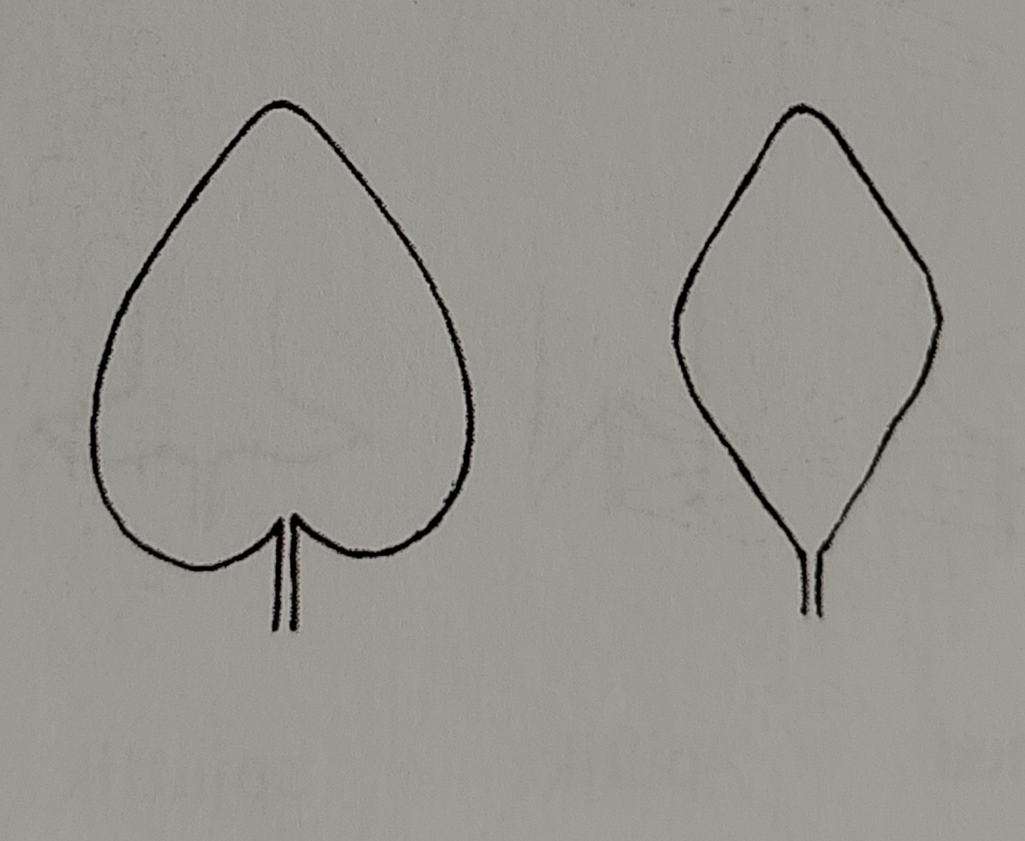 <p></p>