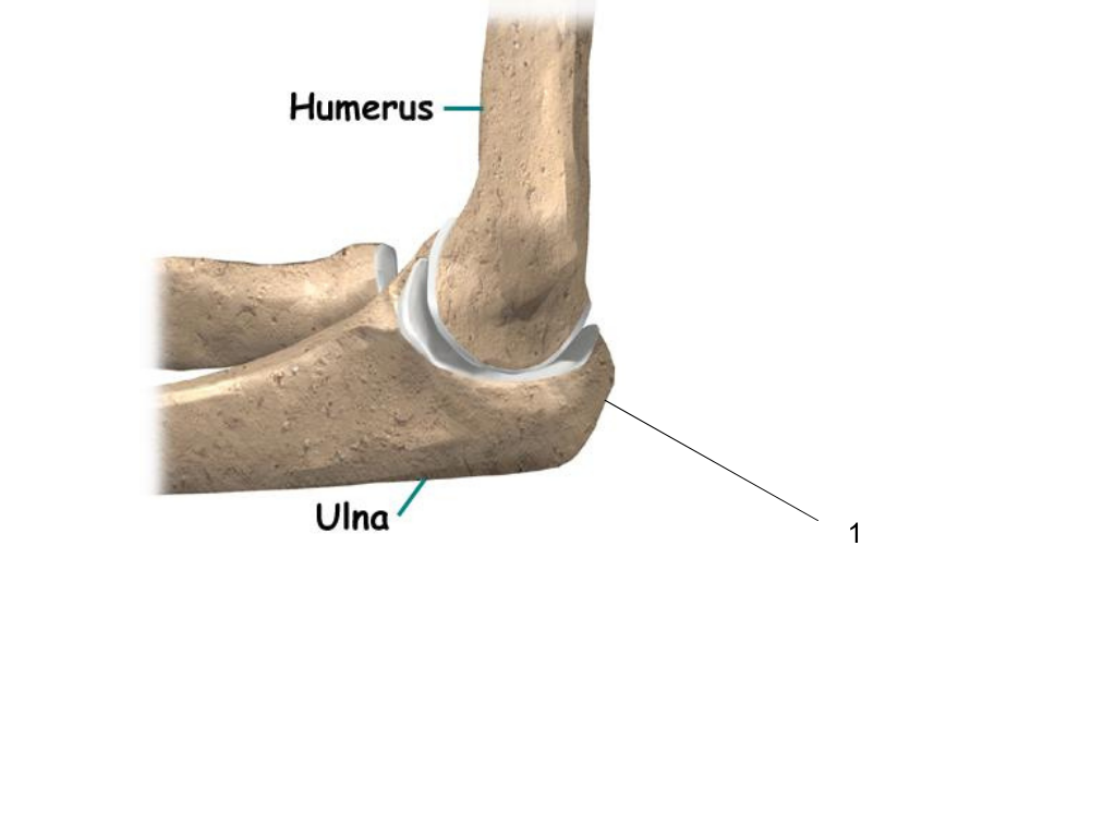 <p>what is #1 pointing at?</p>