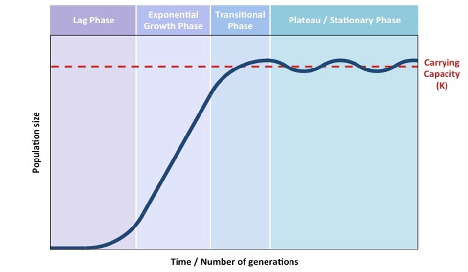 <p>2.1.12 Boom and Bust Cycles:</p><ul><li><p><span>Some populations exhibit "boom and bust" patterns, characterized by rapid increases in population size followed by sudden declines, often well below the initial starting point</span></p></li></ul><p></p>