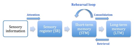 <p>memory </p>