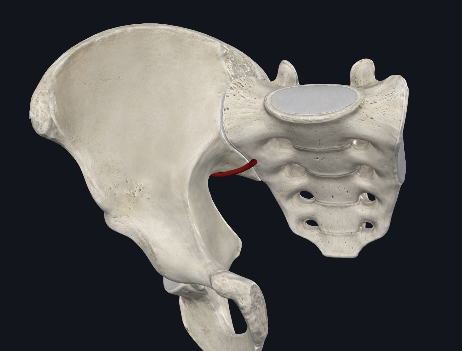 <p>¿Qué es esto?</p>