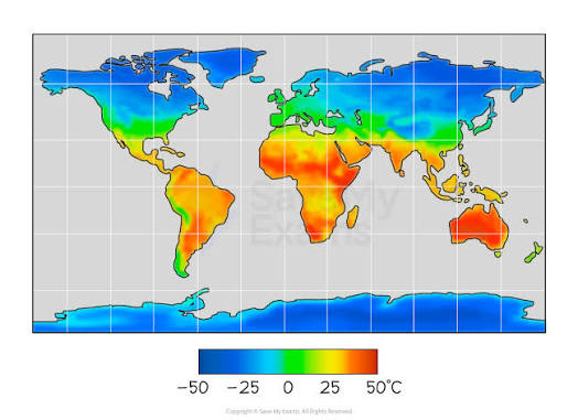 <p>Scale</p>