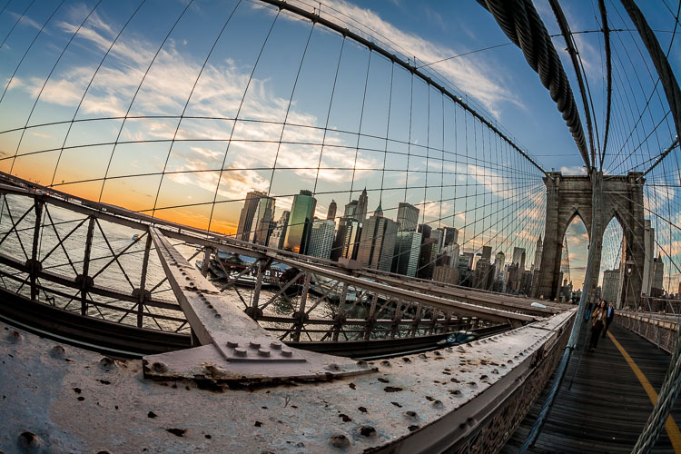 <p>(14-35mm)</p><ul><li><p>Expansive field of view</p></li><li><p>Ideal for landscapes</p></li><li><p>Causes “fish-eye” view = distortion</p></li></ul><p></p>