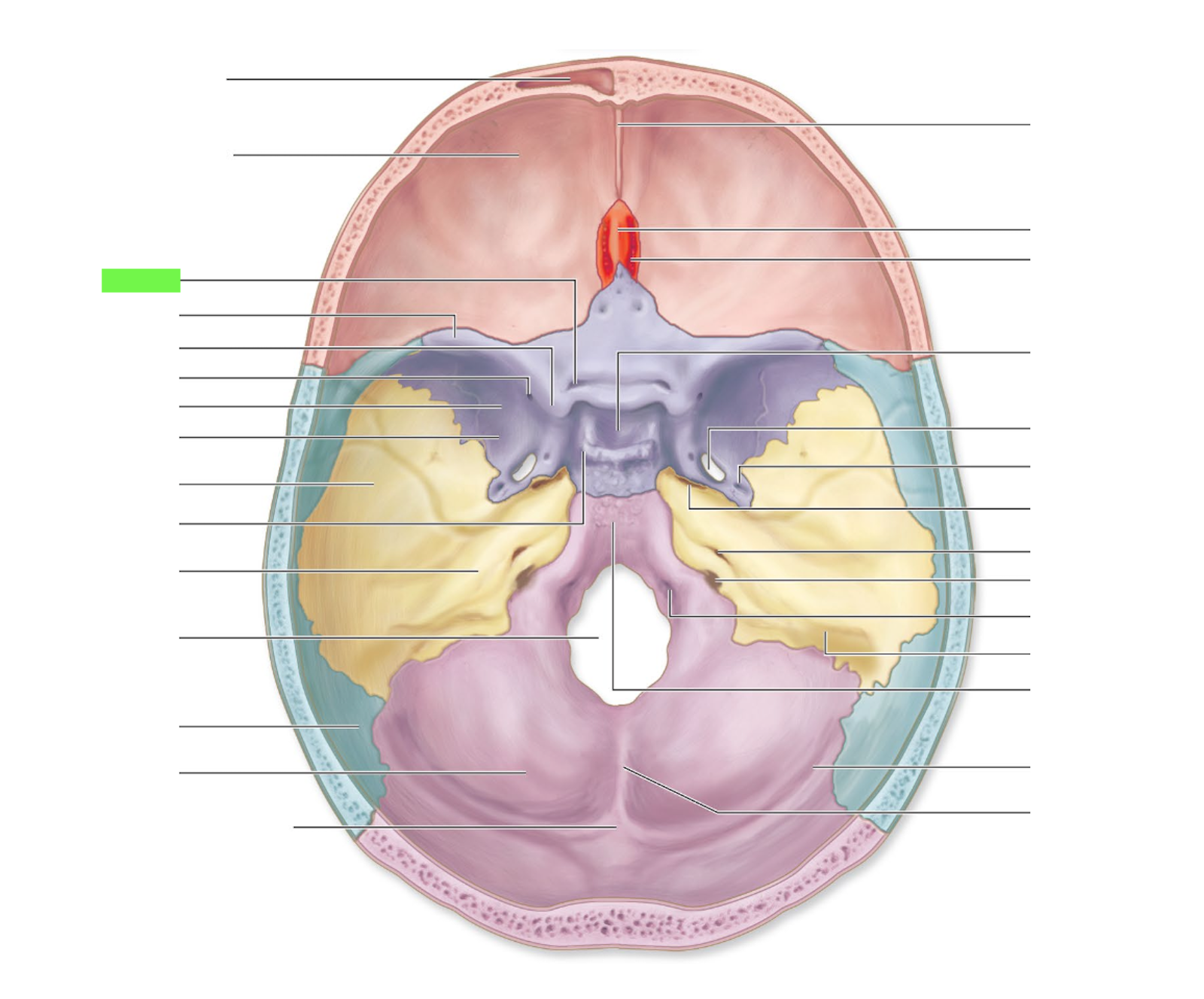 knowt flashcard image