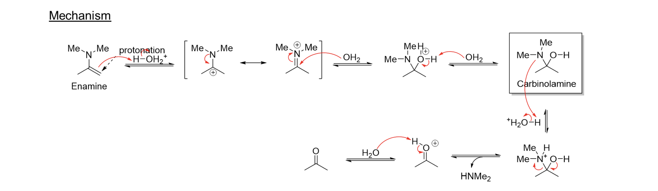 <p>Enamine → H2O/Cat.H+ → Carbonyl 2 R2NH</p>