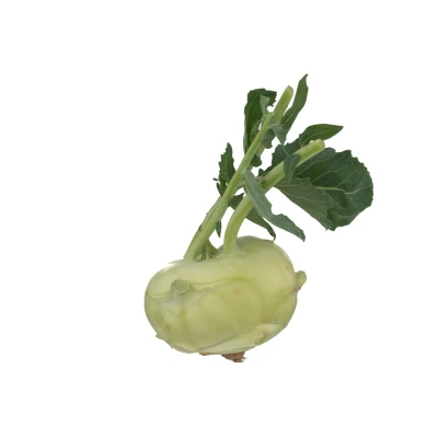 <p>Kohlrabi (lose)</p>