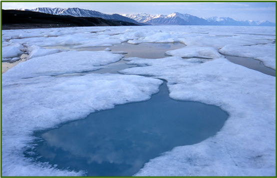 <p>Pools of water which form on glaciers, ice shelves, and sea ice as the ice melts.</p><p>Melting water can form streams, which lead to the formation of moulins.  </p>