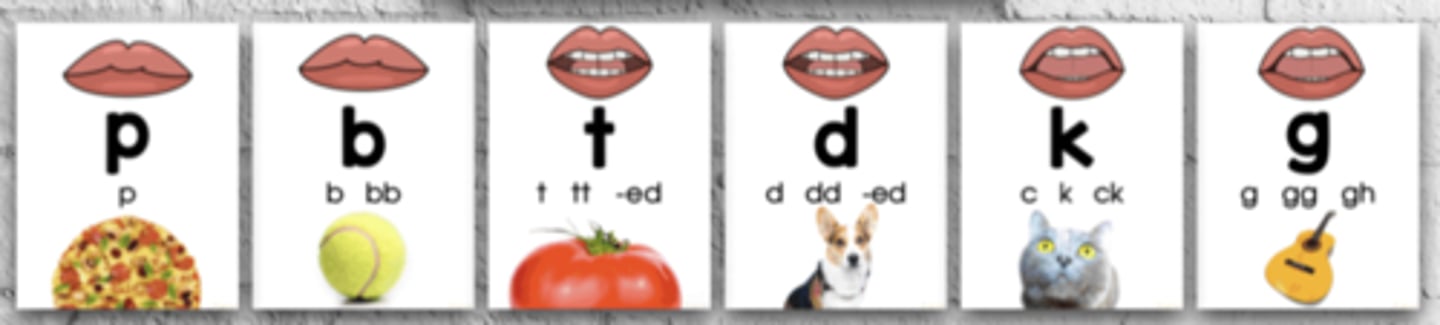 <p>when making these sounds, a puff of air comes out of the mouth</p><p>/p/ /t/ k/ /b/ /d/ /g/</p>