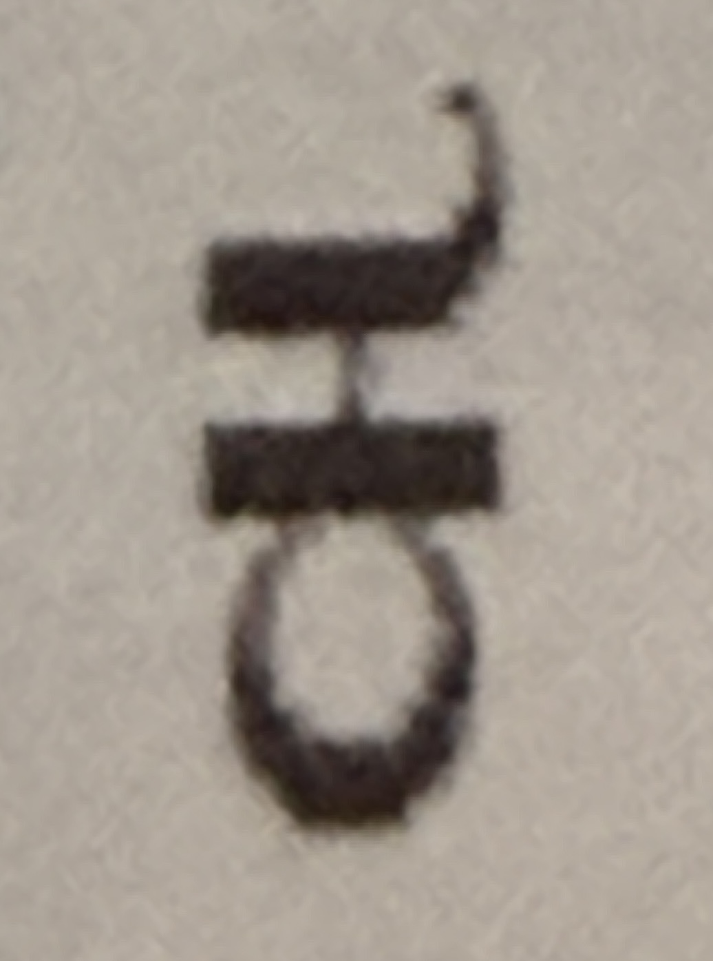 term image