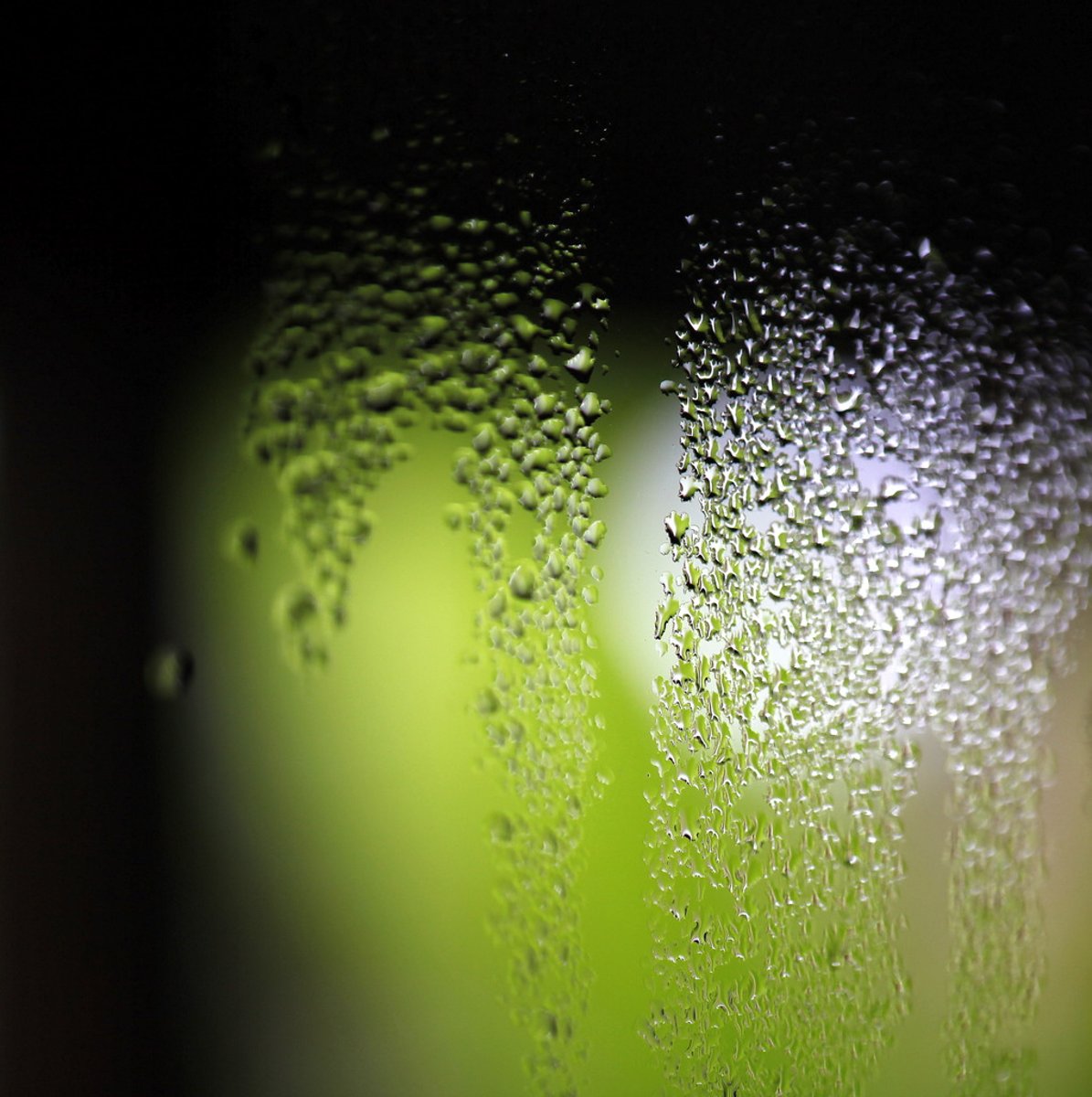 <p>It's humid</p>