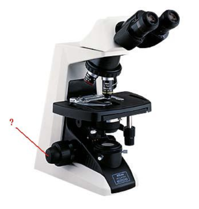 <p><span>Identify the indicated part of the microscope.</span></p>