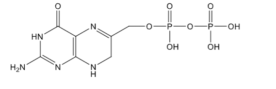 <p>name</p>
