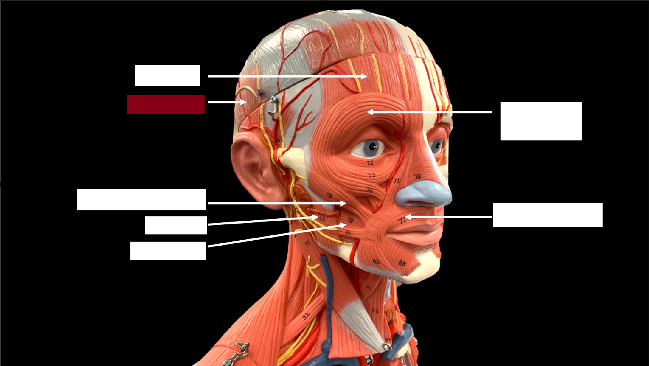 <p>WHAT IS THE NAME OF THE RED HIGHLIGHTED PART?</p>