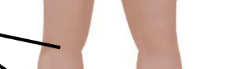 <p>Back of knee. </p>