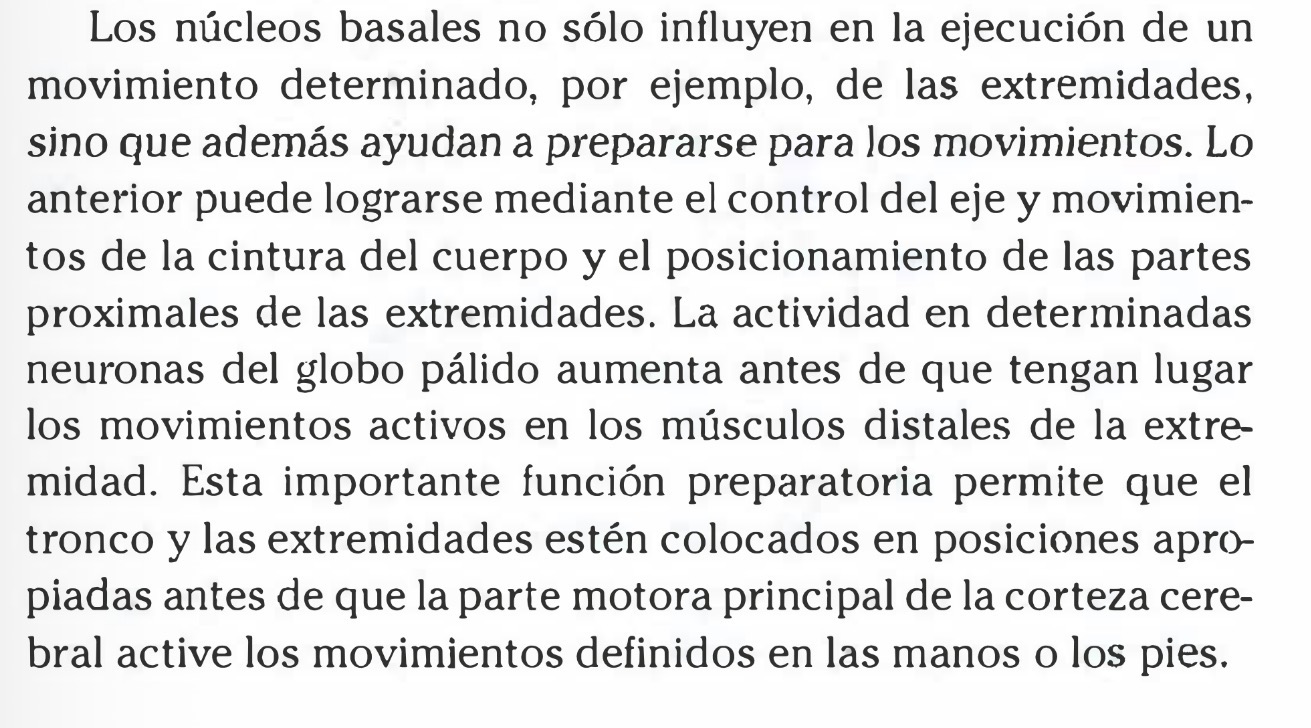 <p>Ayuda en la regulación del movimiento voluntario y el aprendizaje de las habilidades motoras</p><p>Ayudan a prepararse para los movimientos</p><p>Influyen en la ejecución de movimiento determinado</p>