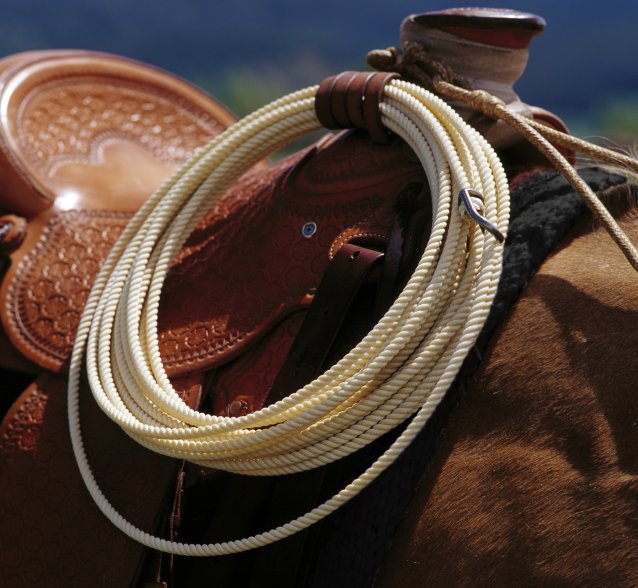 <p>Lariat</p>