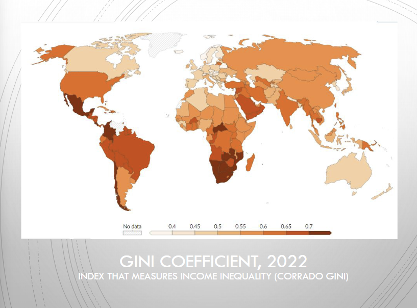 <p>What does the Gini Coefficient map show?</p>