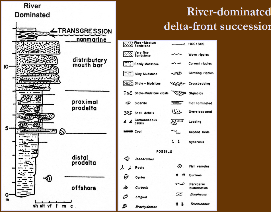 <p>River-dominated delta</p>