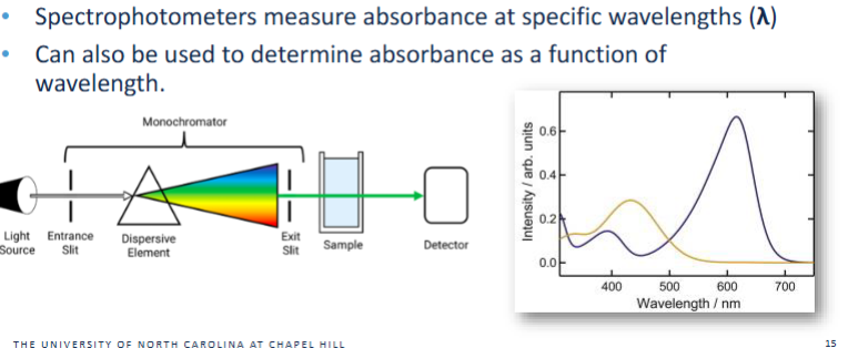 <p>Reason 1 — Bromothymol blue has different absorbance spectra in acidic vs. basic forms</p><p>Acidic form (HIn): λmax ≈ 430 nm, appears yellow</p><p>Basic form (In⁻): λmax ≈ 600 nm, appears blue</p><p>As pH changes, the relative amounts of these two species change — and UV–Vis directly measures that shift.</p><p>Reason 2 — UV–Vis allows quantitative determination of pKa</p><p>The Henderson–Hasselbalch relationship links absorbance to the ratio of acidic/basic forms.</p><p>By measuring absorbance across a pH series, you can determine the pH where the two forms are equal → pKa.</p>