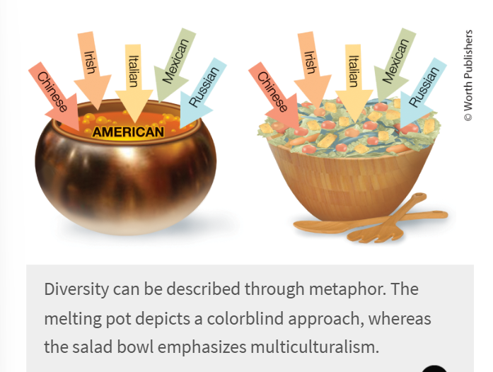 <p><span>A worldview in which different cultural identities and viewpoints are acknowledged and appreciated.</span></p><ul><li><p>actively embracing diversity </p></li><li><p>U.S. = melting pot: </p><ul><li><p>place where ppl of different ethnicities and former nationalities might blend to form a single group</p></li></ul></li><li><p>Canada = salad bowl: </p><ul><li><p>citizens form integrated collective while still maintaining distinct ethnic heritage</p></li></ul></li></ul><p></p>