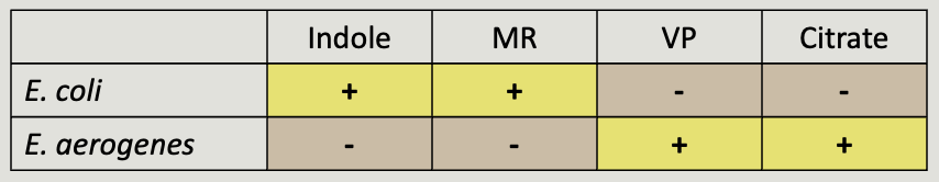 <p>set of four tests to differentiate <em>E. coli</em> from <em>Enterobacter aerogenes</em></p><ul><li><p>indole (SIM or tryptone)</p></li><li><p>methyl red</p></li><li><p>voges proskauer</p></li><li><p>citrate</p></li></ul><p></p>