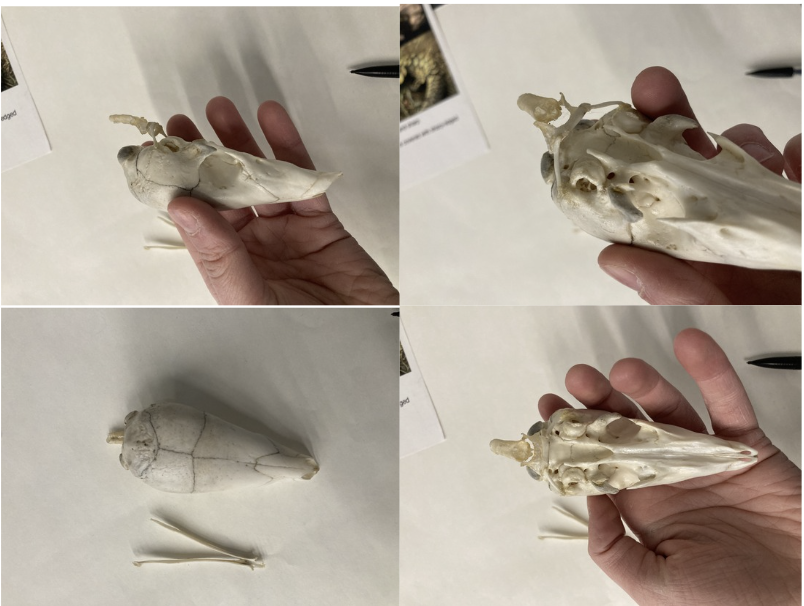 <p>What is this?</p>