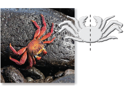 <p>What symmetry is this?</p>