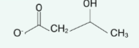 <p>name the structure</p>