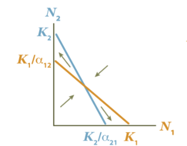 <p>Unstable equilibrium</p>