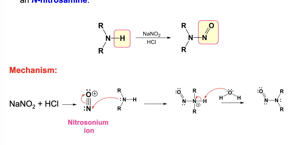 <ul><li><p>Converts primary amine into a diazonium salt</p></li><li><p>Converts a secondary amine into an N-nitrosamine</p></li></ul><p></p>