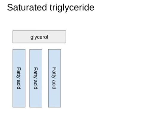 <p><strong>Glycerol bonded to three saturated fatty acids by three ester bonds.</strong></p><p><strong>The fatty acids contain no C=C double bonds.</strong></p><p><strong>The fatty acid chains are straight.</strong></p>