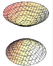 <p></p>