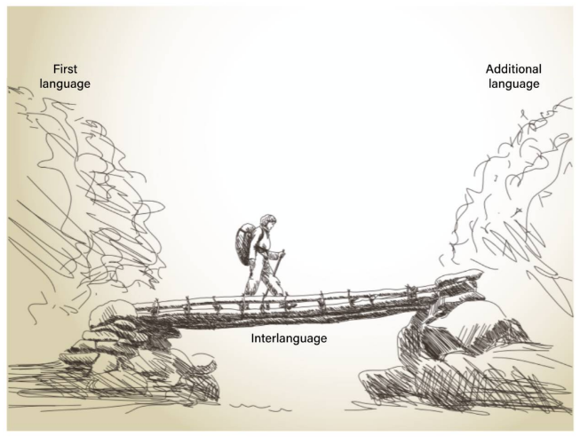 <p>Elaborate on ‘interlanguage in additional-language learners’?</p>