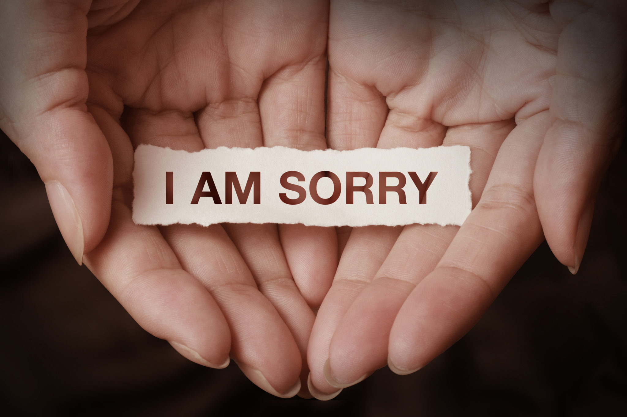 <p>apologise</p>