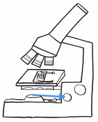 <p>Moves the stage slightly to sharpen the image</p>