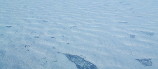 <p>What kind of dune is this?</p>