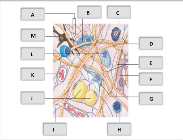 <p>Name for E</p>