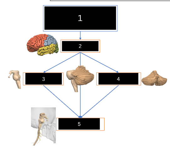 <p>what is figure 5</p>