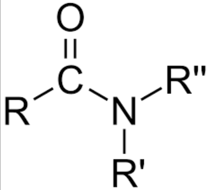 <p>carbonyl group, has an amine-like nitrogen bonded to the C=O</p>