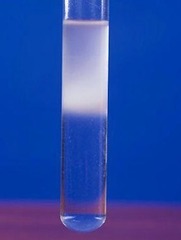 <p>colloidal dispersion of a liquid in another</p>