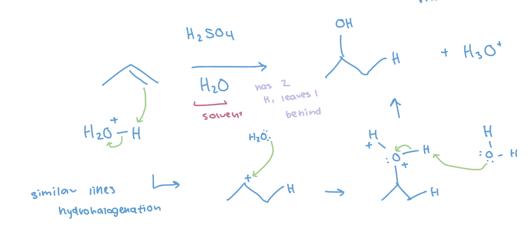 <p>Hydration - adds OH and H group</p>