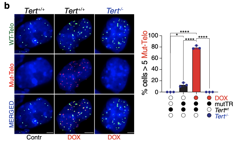 <p>Interpretate Figure 1b </p>