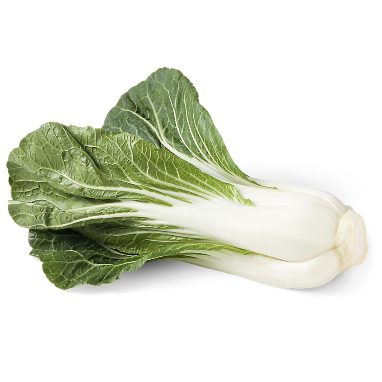 <p>Bok choy </p>