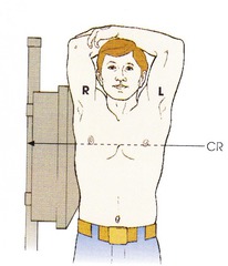 <p>stand up straight</p>